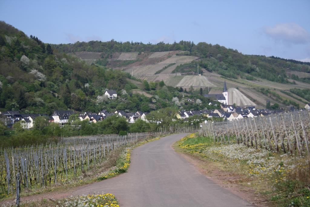 Weingut Goeres Hotel Briedel Exterior photo