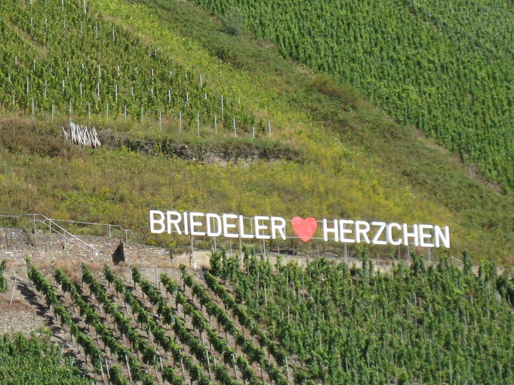 Weingut Goeres Hotel Briedel Room photo